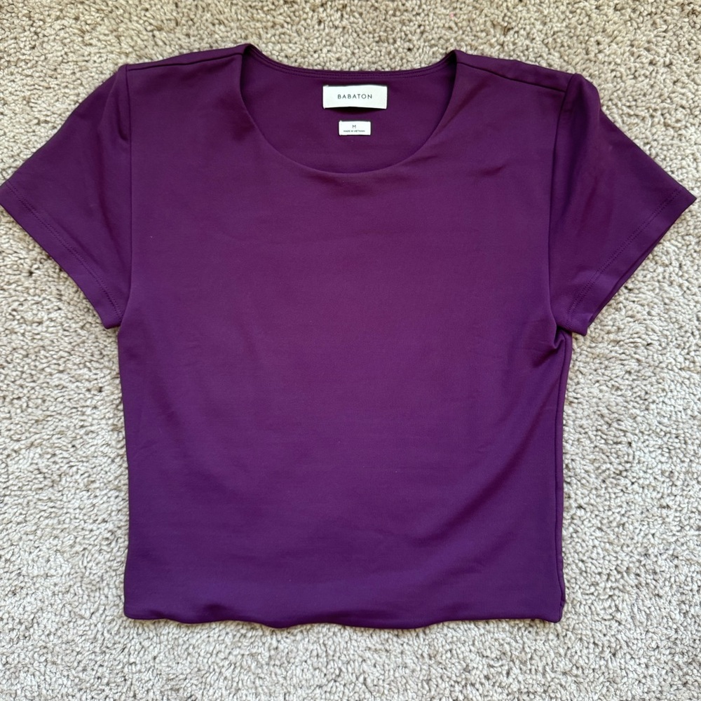 Aritzia Babaton purple top